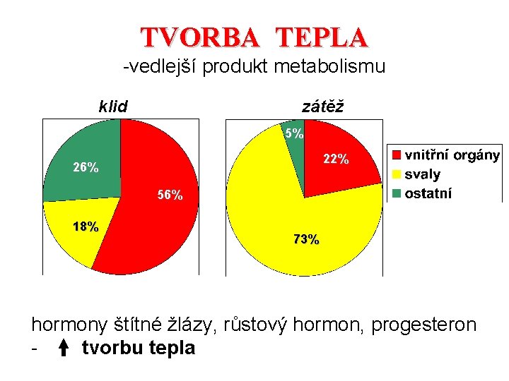 TVORBA TEPLA -vedlejší produkt metabolismu klid zátěž 5% 22% 26% 56% 18% 73% hormony