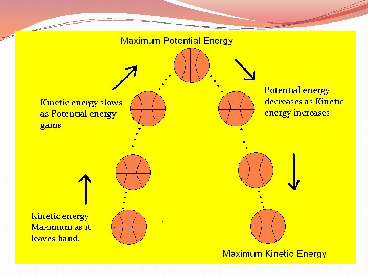 Kinetic energy slows as Potential energy gains Kinetic energy Maximum as it leaves hand.