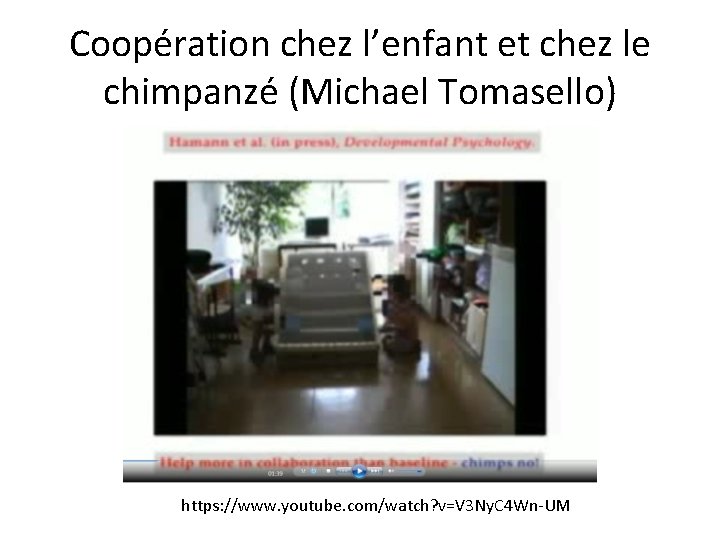 Coopération chez l’enfant et chez le chimpanzé (Michael Tomasello) https: //www. youtube. com/watch? v=V Coopération chez l’enfant et chez le chimpanzé (Michael Tomasello) https: //www. youtube. com/watch? v=V
