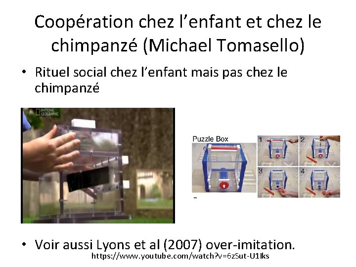 Coopération chez l’enfant et chez le chimpanzé (Michael Tomasello) • Rituel social chez l’enfant Coopération chez l’enfant et chez le chimpanzé (Michael Tomasello) • Rituel social chez l’enfant