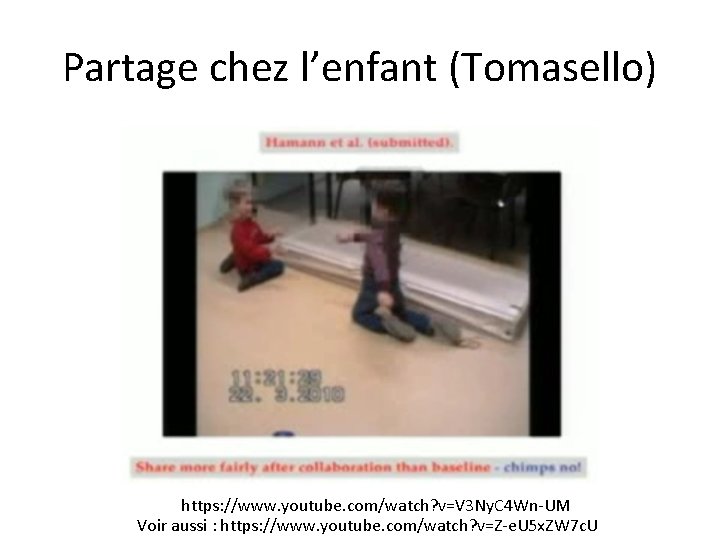 Partage chez l’enfant (Tomasello) https: //www. youtube. com/watch? v=V 3 Ny. C 4 Wn-UM Partage chez l’enfant (Tomasello) https: //www. youtube. com/watch? v=V 3 Ny. C 4 Wn-UM