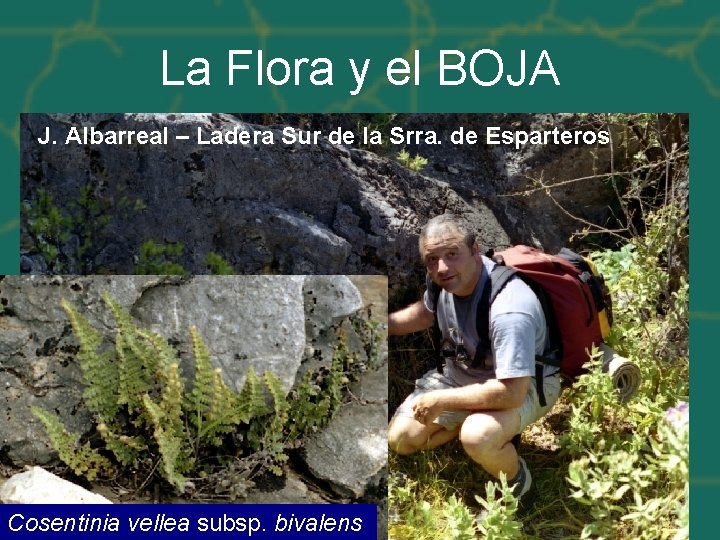 La Flora y el BOJA J. Albarreal – Ladera Sur de la Srra. de