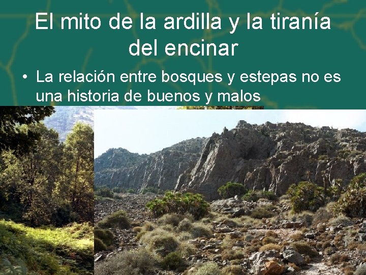 El mito de la ardilla y la tiranía del encinar • La relación entre