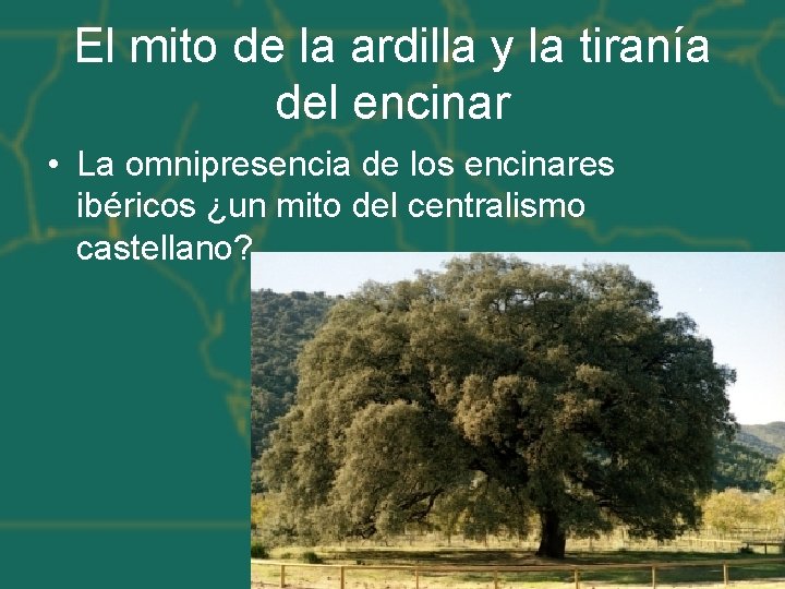 El mito de la ardilla y la tiranía del encinar • La omnipresencia de