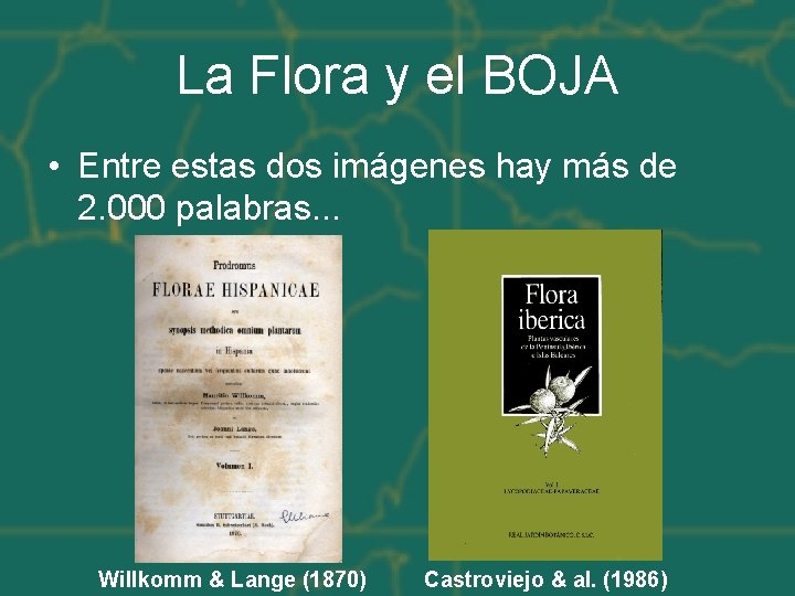 La Flora y el BOJA • Entre estas dos imágenes hay más de 2.
