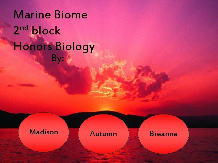 Marine Biome 2 nd block Honors Biology By: Madison Autumn Breanna 