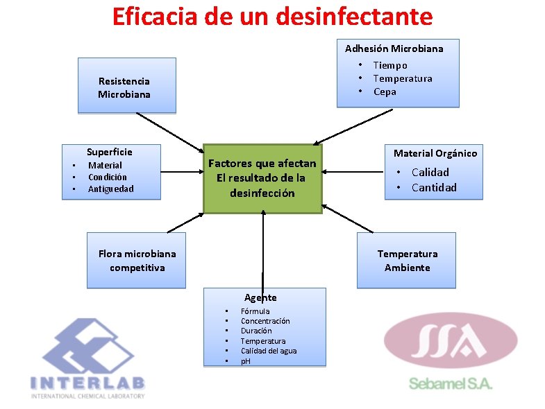 Eficacia de un desinfectante Adhesión Microbiana • • • Resistencia Microbiana Superficie • • Eficacia de un desinfectante Adhesión Microbiana • • • Resistencia Microbiana Superficie • •