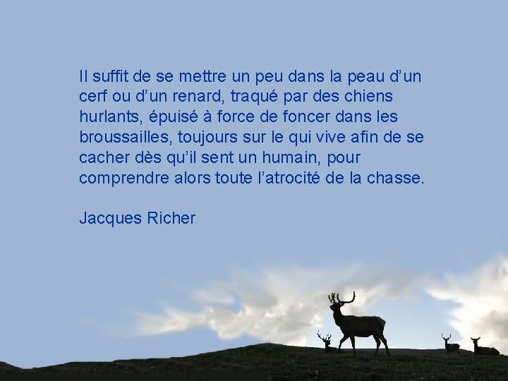 Il suffit de se mettre un peu dans la peau d’un cerf ou d’un