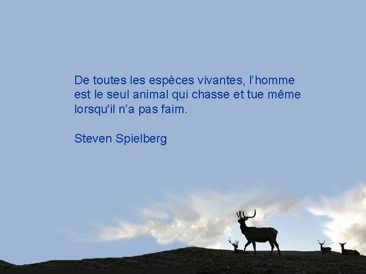 De toutes les espèces vivantes, l’homme est le seul animal qui chasse et tue