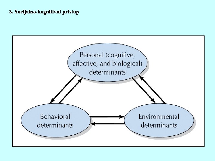 3. Socijalno-kognitivni pristup 