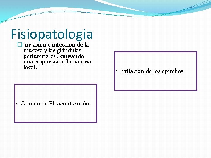 Fisiopatologia � invasio n e infeccio n de la mucosa y las gla ndulas