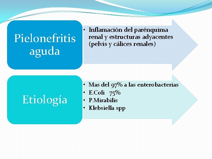 Pielonefritis aguda Etiología • Inflamación del parénquima renal y estructuras adyacentes (pelvis y cálices