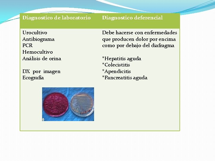 Diagnostico de laboratorio Diagnostico deferencial Urocultivo Antibiograma PCR Hemocultivo Análisis de orina Debe hacerse