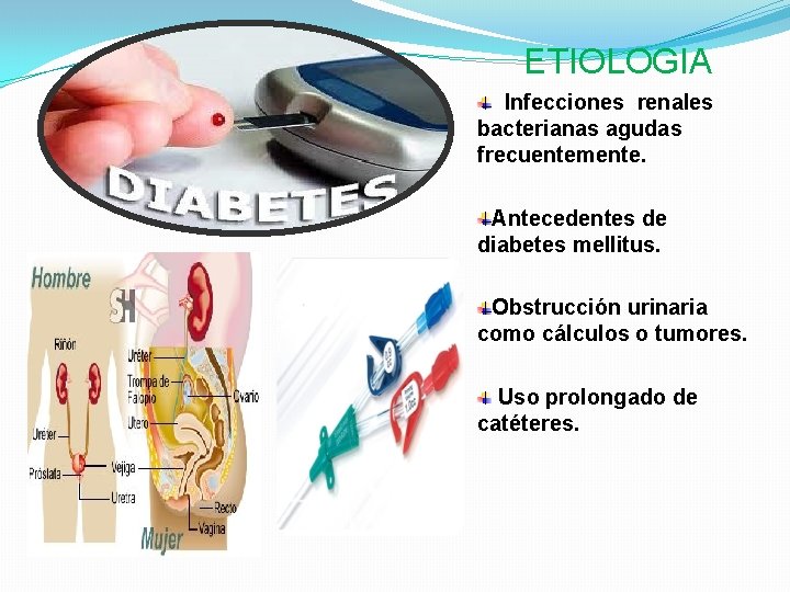 ETIOLOGIA Infecciones renales bacterianas agudas frecuentemente. Antecedentes de diabetes mellitus. Obstrucción urinaria como cálculos