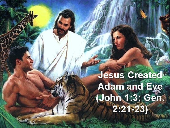 Jesus Created Adam and Eve (John 1: 3; Gen. 2: 21 -23) 