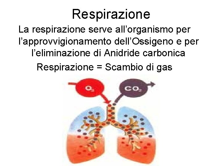 Respirazione La respirazione serve all’organismo per l’approvvigionamento dell’Ossigeno e per l’eliminazione di Anidride carbonica