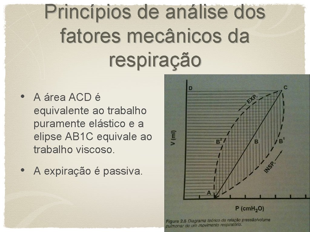 Princípios de análise dos fatores mecânicos da respiração • A área ACD é equivalente