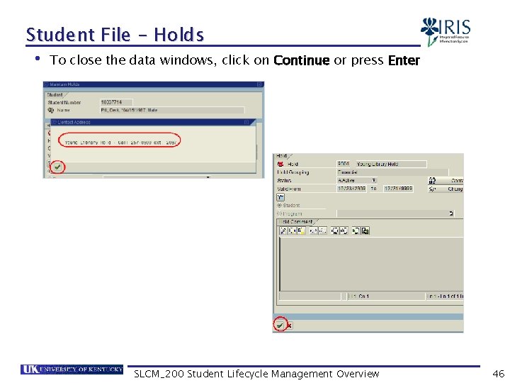 Student File - Holds • To close the data windows, click on Continue or