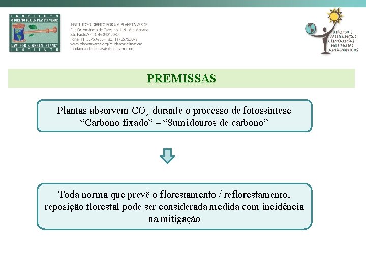 PREMISSAS Plantas absorvem CO 2 durante o processo de fotossíntese “Carbono fixado” – “Sumidouros