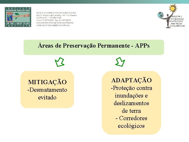 Áreas de Preservação Permanente - APPs MITIGAÇÃO -Desmatamento evitado ADAPTAÇÃO -Proteção contra inundações e