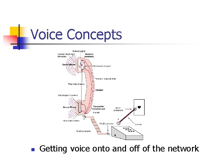 Voice Concepts n Getting voice onto and off of the network 