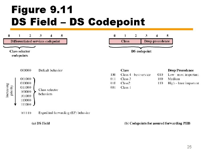Figure 9. 11 DS Field – DS Codepoint 25 