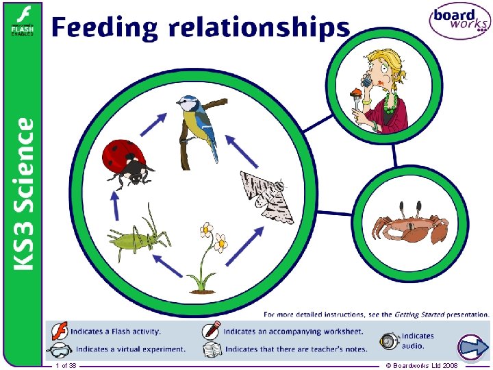 Feeding relationships 1 of 38 © Boardworks Ltd 2008 