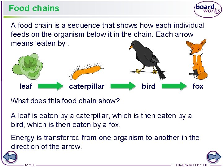 Food chains A food chain is a sequence that shows how each individual feeds