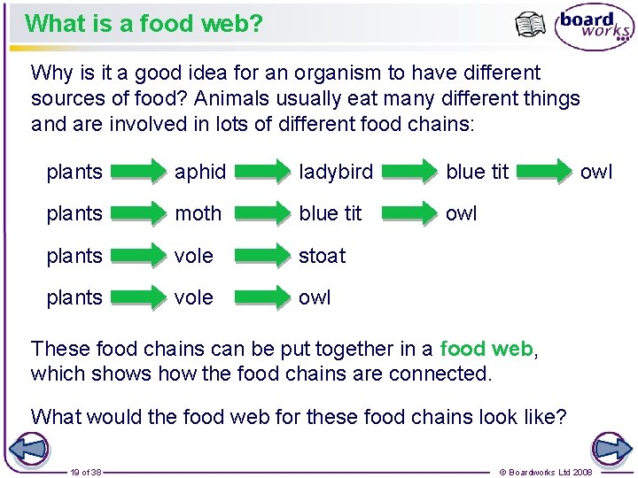 What is a food web? Why is it a good idea for an organism