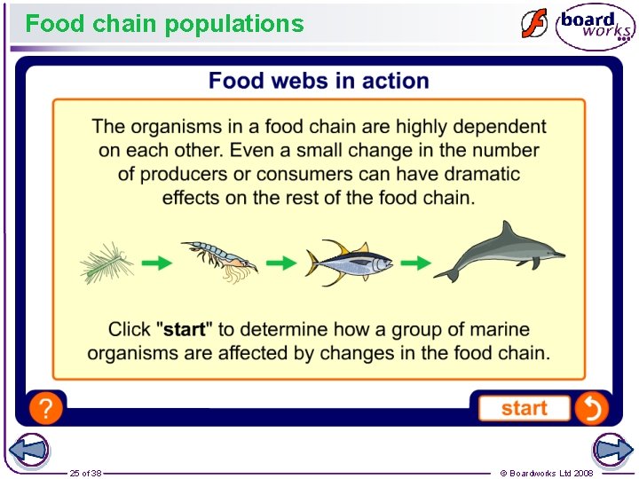 Food chain populations 25 of 38 © Boardworks Ltd 2008 