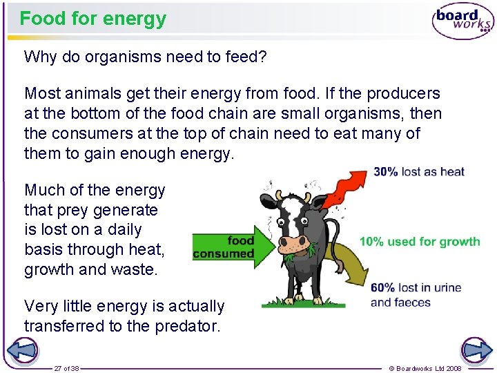 Food for energy Why do organisms need to feed? Most animals get their energy