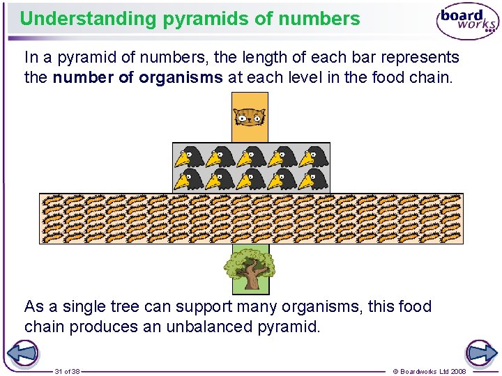 Understanding pyramids of numbers In a pyramid of numbers, the length of each bar
