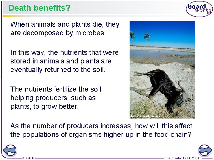 Death benefits? When animals and plants die, they are decomposed by microbes. In this