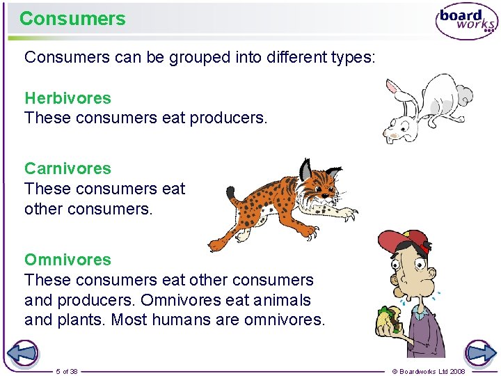 Consumers can be grouped into different types: Herbivores These consumers eat producers. Carnivores These