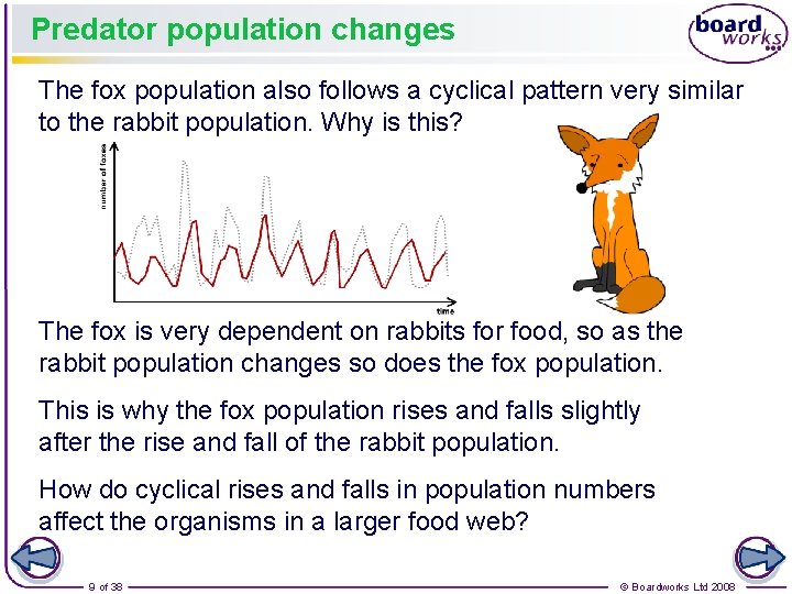 Predator population changes The fox population also follows a cyclical pattern very similar to