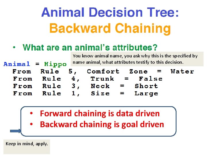 You know animal name, you ask why this is the specified by name animal,