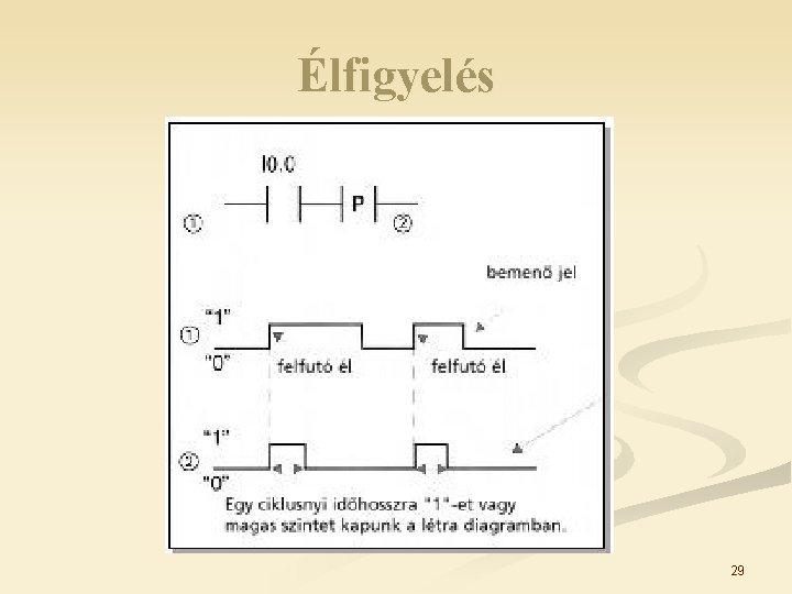 Élfigyelés 29 