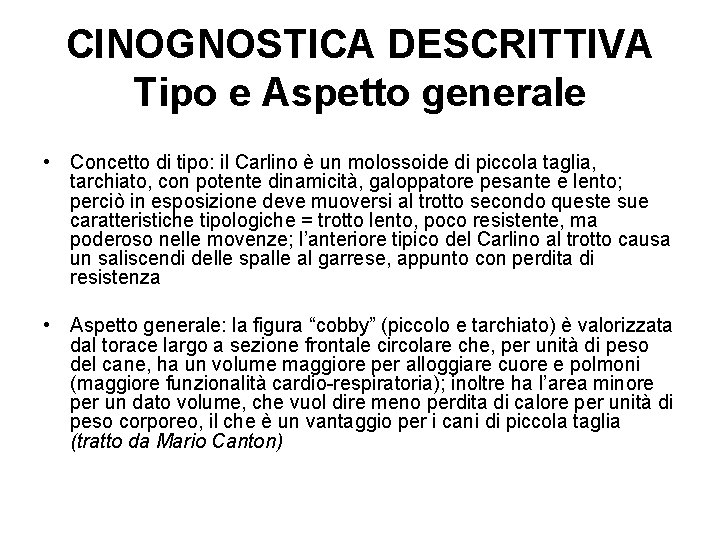 CINOGNOSTICA DESCRITTIVA Tipo e Aspetto generale • Concetto di tipo: il Carlino è un