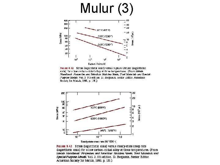Mulur (3) Mulur (3)