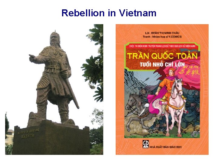 Rebellion in Vietnam 