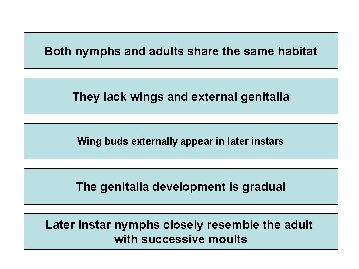 Both nymphs and adults share the same habitat They lack wings and external genitalia Both nymphs and adults share the same habitat They lack wings and external genitalia