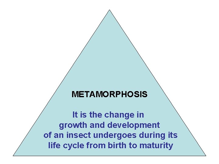 METAMORPHOSIS It is the change in growth and development of an insect undergoes during