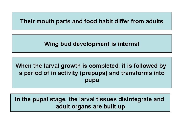 Their mouth parts and food habit differ from adults Wing bud development is internal