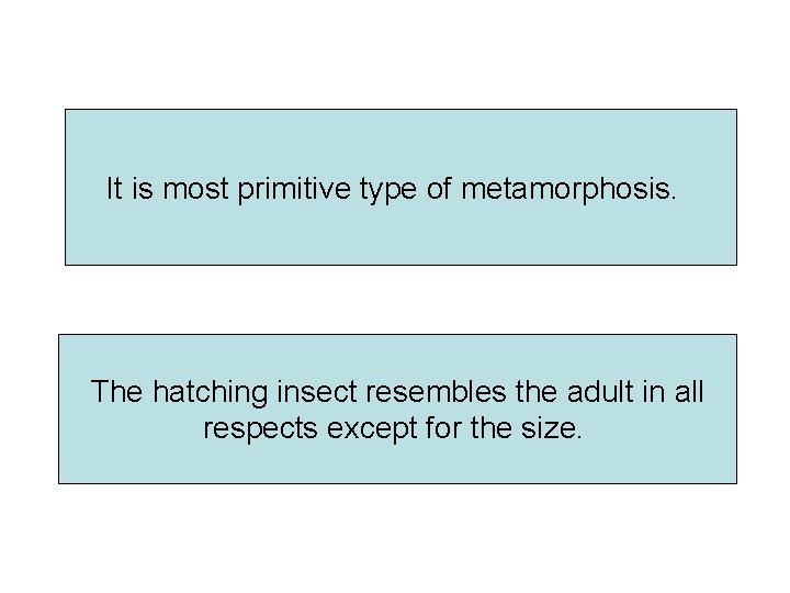 It is most primitive type of metamorphosis. The hatching insect resembles the adult in