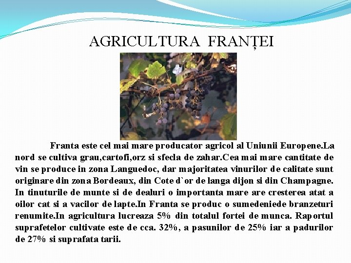 AGRICULTURA FRANȚEI Franta este cel mai mare producator agricol al Uniunii Europene. La nord