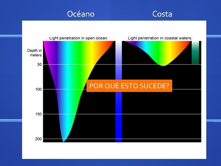 Océano Costa POR QUE ESTO SUCEDE? 