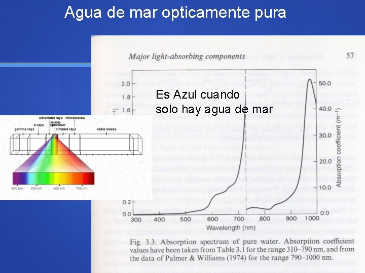 Agua de mar opticamente pura Es Azul cuando solo hay agua de mar 