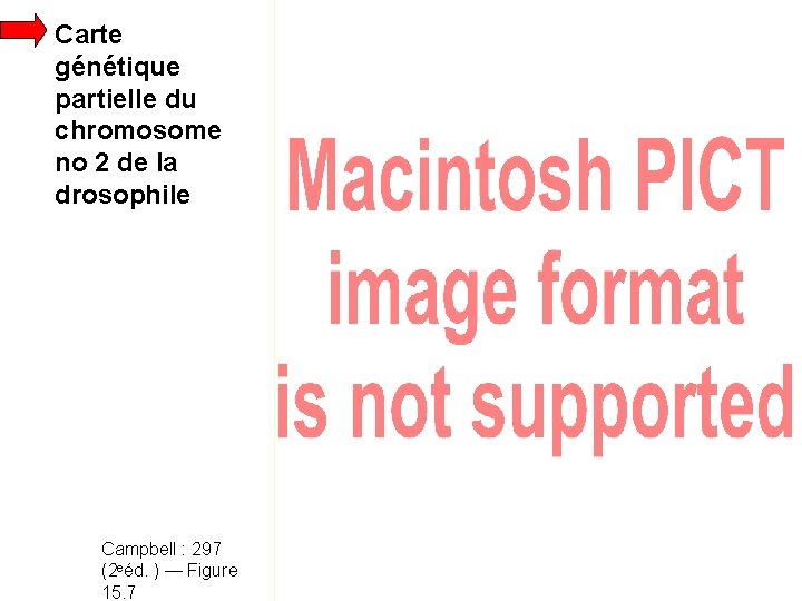 Carte génétique partielle du chromosome no 2 de la drosophile Campbell : 297 (2