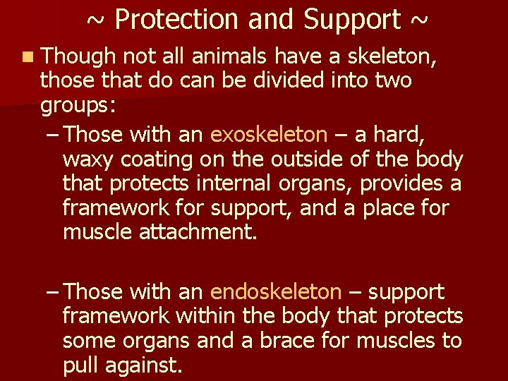 ~ Protection and Support ~ n Though not all animals have a skeleton, those