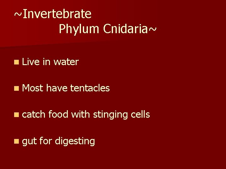 ~Invertebrate Phylum Cnidaria~ n Live in water n Most n catch n gut have
